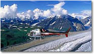 Denali Helicopter Excursion